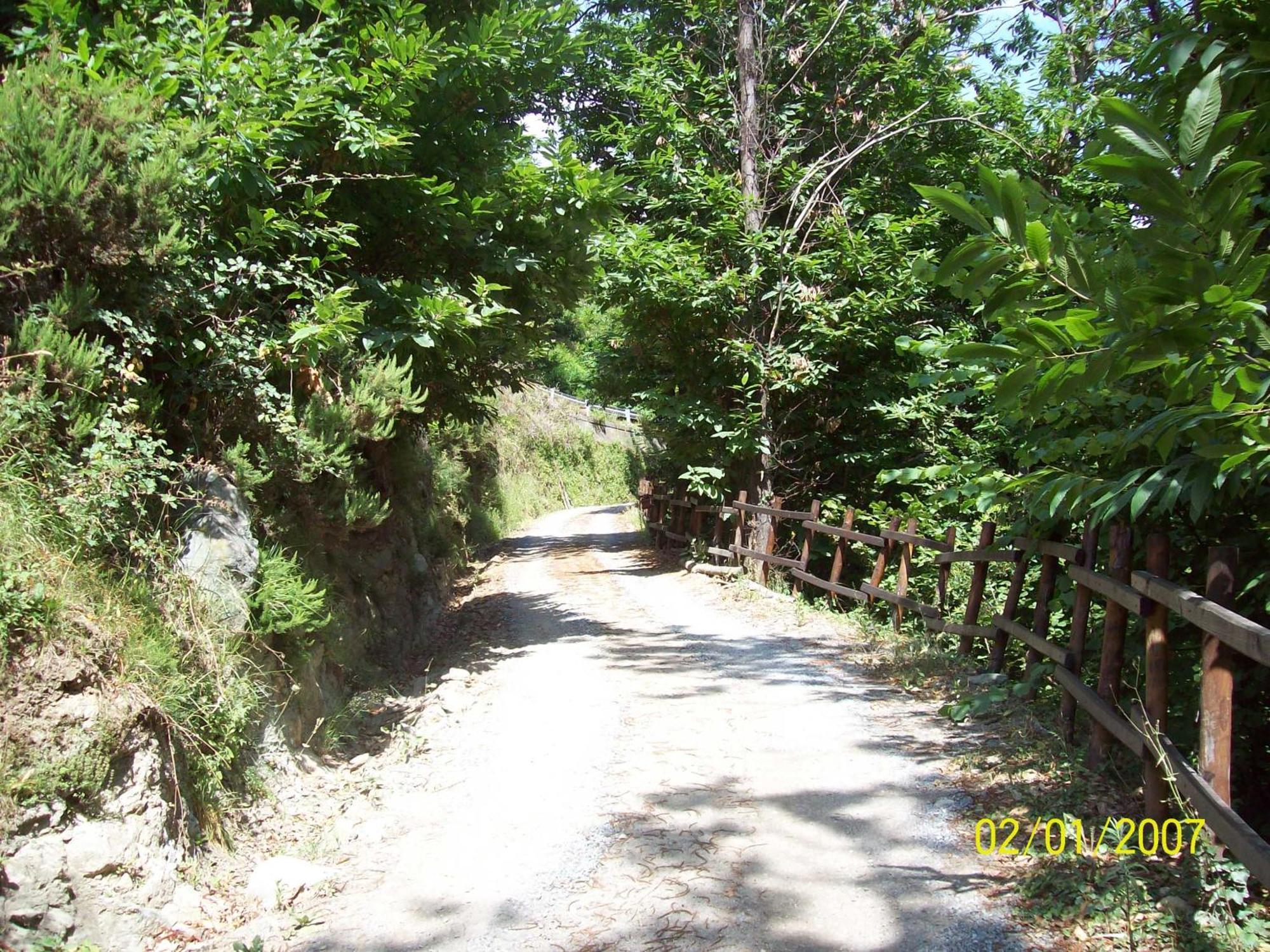 Stella Agriturismo Rio Lunei מראה חיצוני תמונה